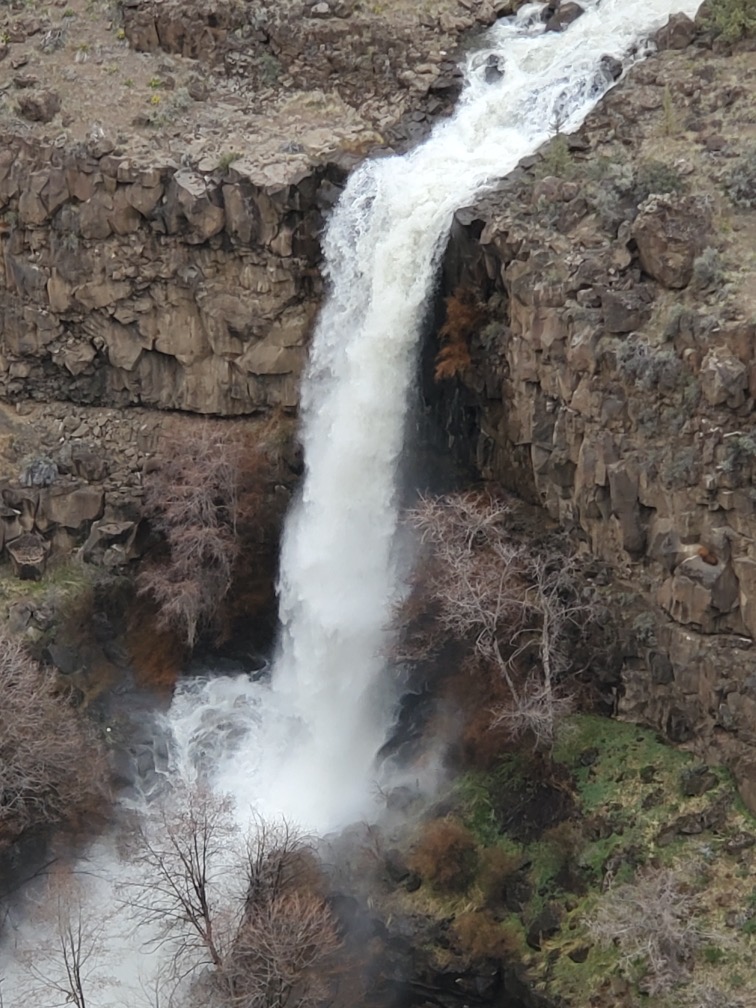 Nearby Waterfall Adventure